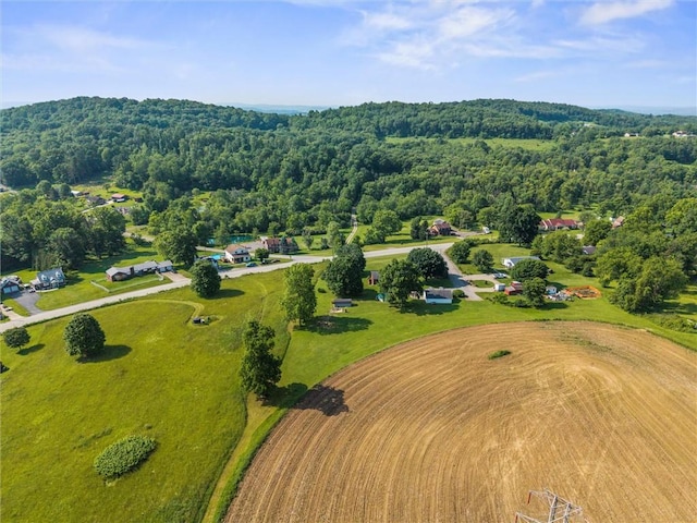 943 State Route 66, Gilpin Twp, PA 15690 - bird's eye view of a forest