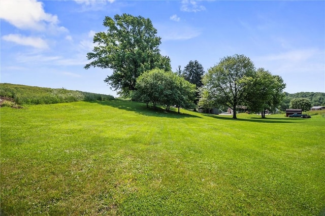 943 State Route 66, Gilpin Twp, PA 15690 - view of green lawn
