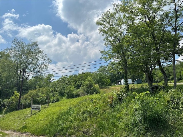 1389 Indian Creek Valley Rd, Saltlick Twp, PA 15462 - view of yard