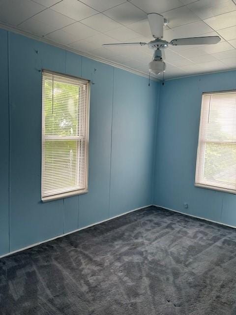 104 Whyle Ave, North Union Twp, PA 15401 - carpeted spare room featuring plenty of natural light and a ceiling fan
