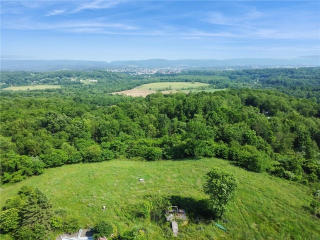 127 Pax View Hills Ln, Unity Twp, PA 15650 - drone / aerial view of a heavily wooded area