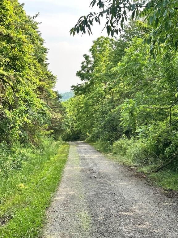 127 Pax View Hills Ln, Unity Twp, PA 15650 - view of street featuring a view of trees