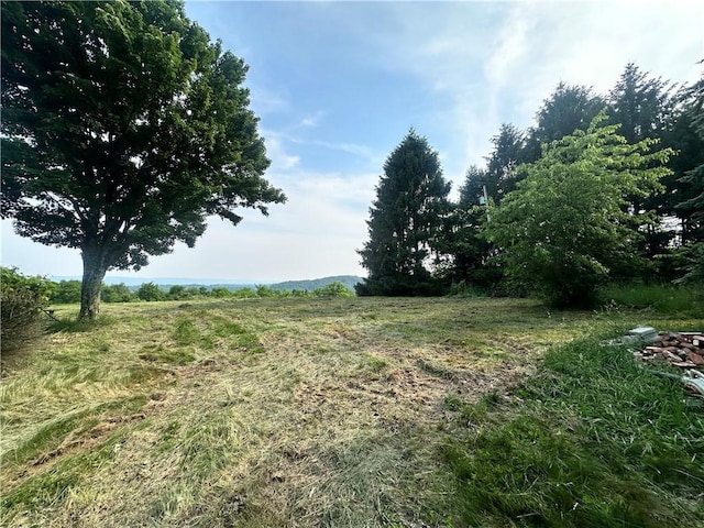 127 Pax View Hills Ln, Unity Twp, PA 15650 - view of yard