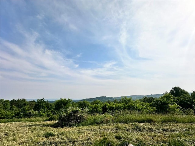 127 Pax View Hills Ln, Unity Twp, PA 15650 - view of nature