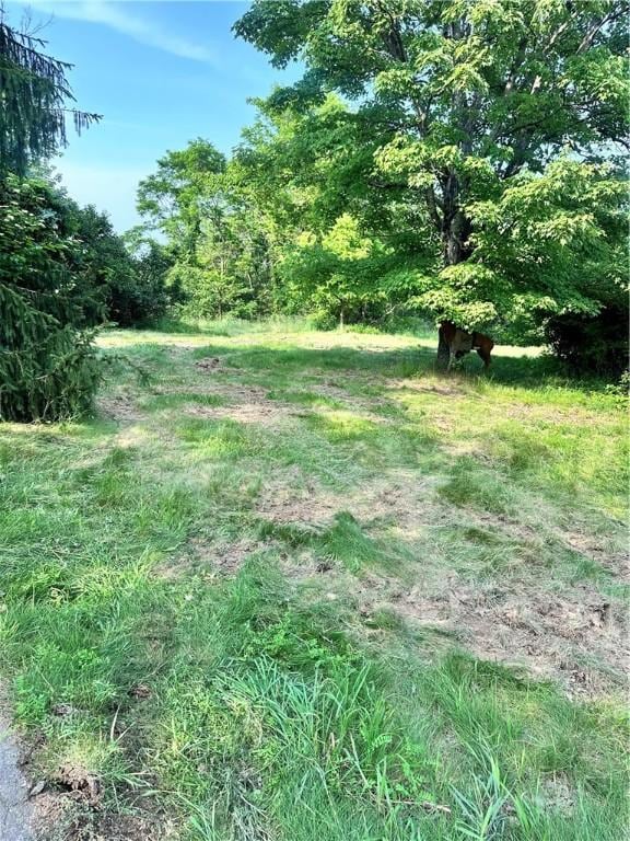 127 Pax View Hills Ln, Unity Twp, PA 15650 - view of yard