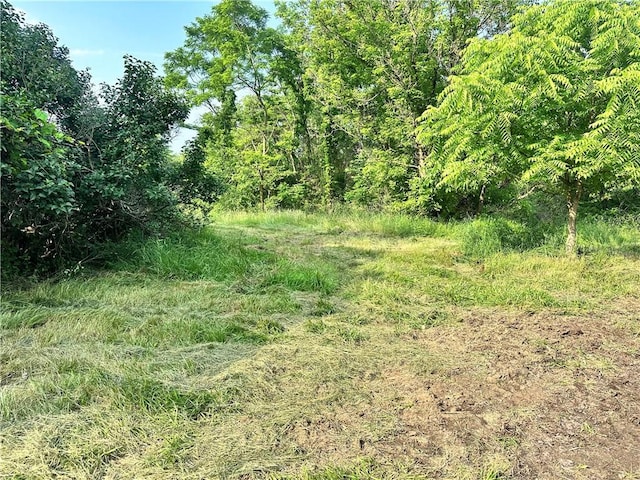 127 Pax View Hills Ln, Unity Twp, PA 15650 - view of wooded area