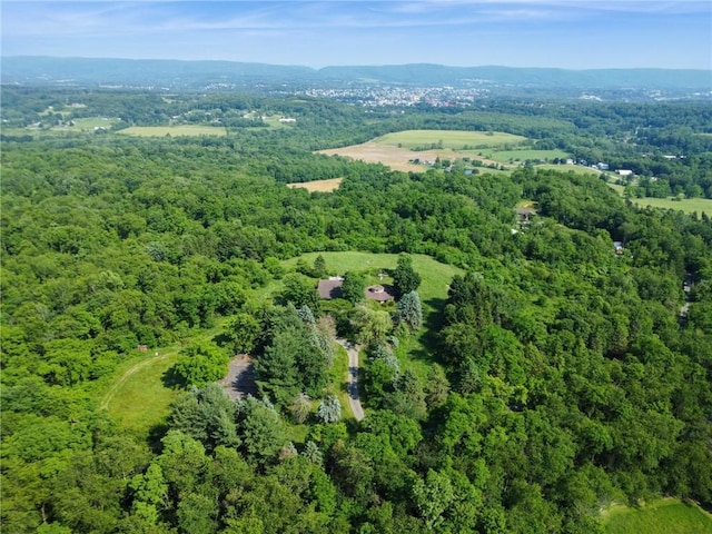 127 Pax View Hills Ln, Unity Twp, PA 15650 - aerial overview of property's location featuring a heavily wooded area