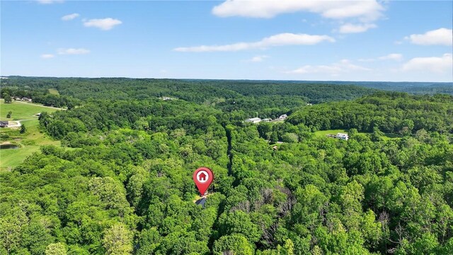 521 Creek Rd, Smith, PA 15019 - drone / aerial view of a forest