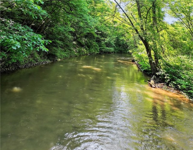 521 Creek Rd, Smith, PA 15019 - water view featuring a heavily wooded area