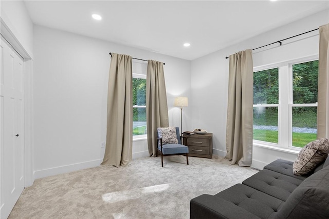 521 Creek Rd, Smith, PA 15019 - living area featuring healthy amount of natural light, carpet, and recessed lighting