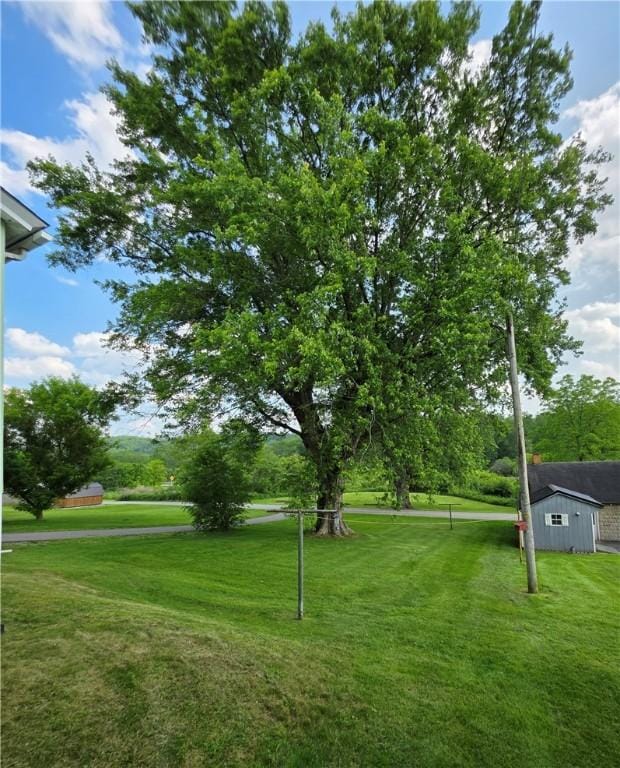 502 W Main St, Rural Valley Boro, PA 16249 - photo 32
