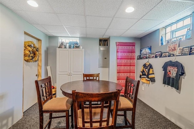 360 Jo Ann Dr, Monessen, PA 15062 - dining space with carpet, electric panel, healthy amount of natural light, and a drop ceiling
