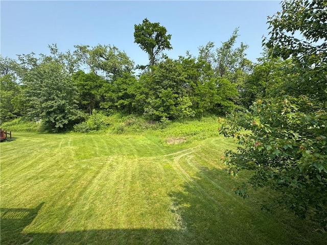 6422 Lindsey Ln, Murrysville, PA 15632 - photo 29