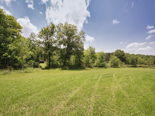 165 Monks Rd, Clinton Twp, PA 16056 - view of grassy yard with a forest view