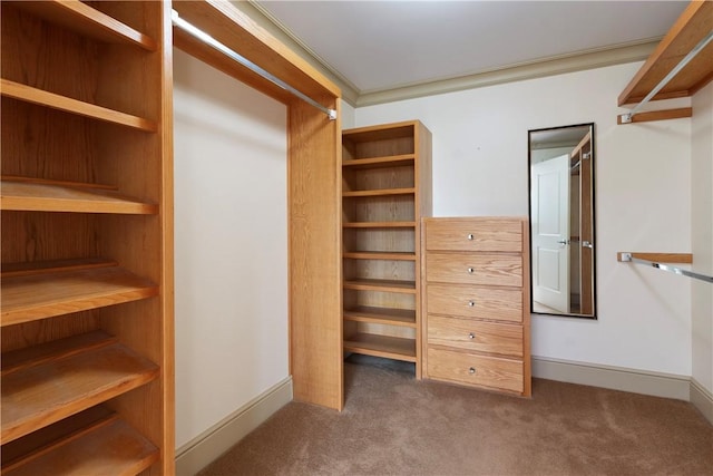 537 N Neville St Unit 6A, Shadyside, PA 15213 - walk in closet with carpet