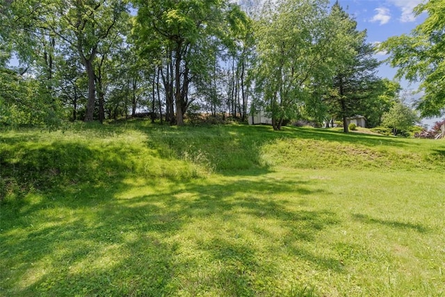 4736 Doyle Rd, Whitehall, PA 15227 - view of green lawn
