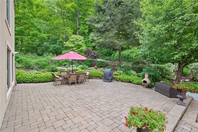337 Fox Chapel Rd, Fox Chapel, PA 15238 - view of patio / terrace with area for grilling, a view of trees, and outdoor dining area