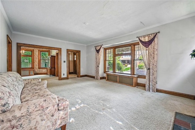 946 Alcoma St, Sharon, PA 16146 - unfurnished living room with carpet floors, crown molding, and a textured ceiling