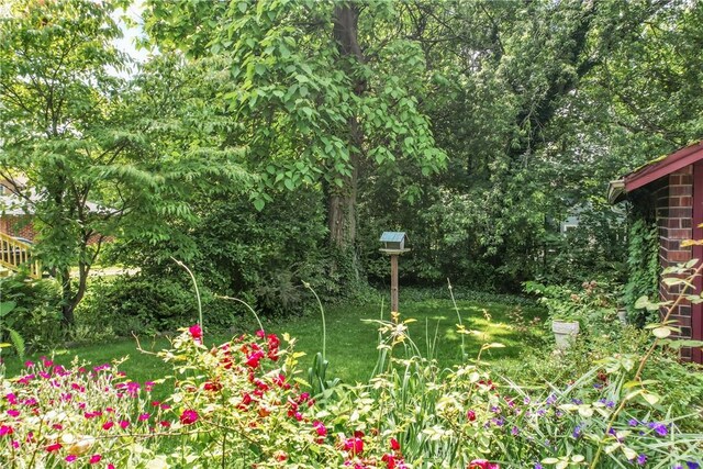 946 Alcoma St, Sharon, PA 16146 - view of green lawn