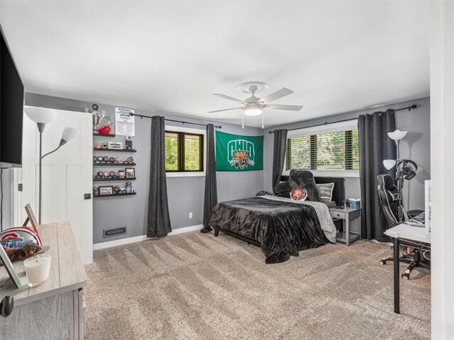 201 Seegar Rd, Upper St Clair, PA 15241 - photo 23