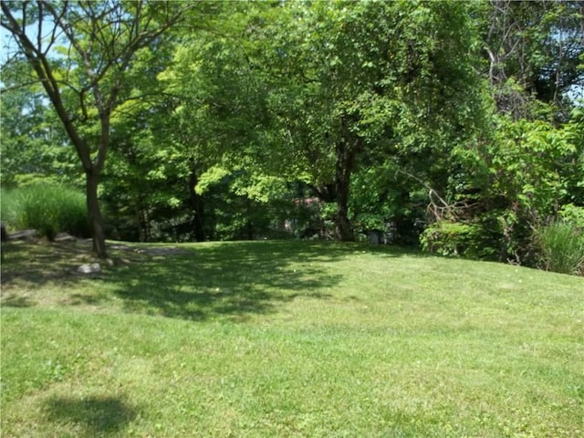 243 Byron Rd, Ross Twp, PA 15237 - view of green lawn