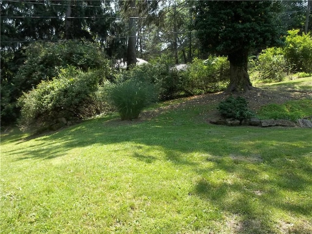 243 Byron Rd, Ross Twp, PA 15237 - view of grassy yard