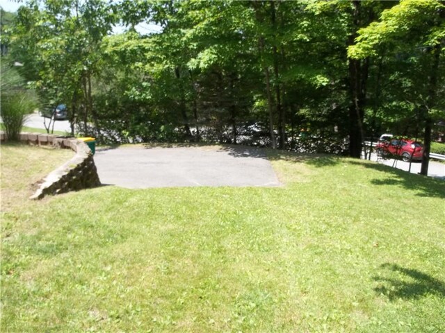 243 Byron Rd, Ross Twp, PA 15237 - view of grassy yard