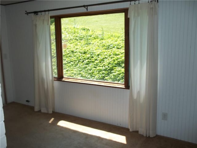 243 Byron Rd, Ross Twp, PA 15237 - unfurnished room with carpet flooring and healthy amount of natural light