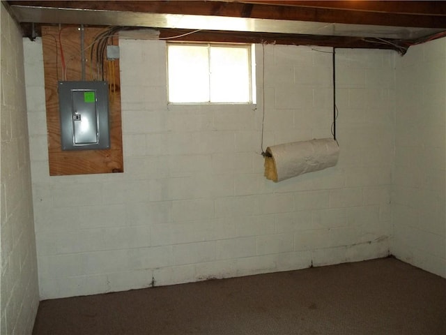 243 Byron Rd, Ross Twp, PA 15237 - below grade area featuring electric panel and concrete block wall