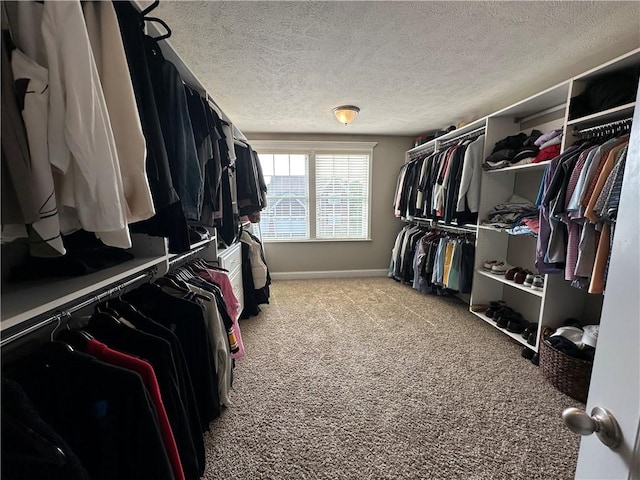 30 Trotter Ln, Findlay Twp, PA 15026 - walk in closet featuring carpet flooring