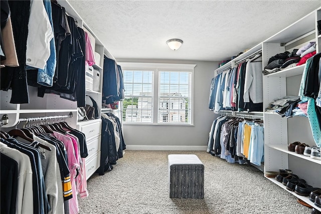 30 Trotter Ln, Findlay Twp, PA 15026 - walk in closet with carpet floors