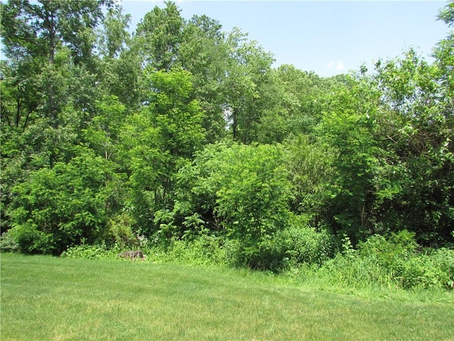 6921 Spring Valley Ln, Murrysville, PA 15632 - view of woods