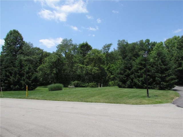 6921 Spring Valley Ln, Murrysville, PA 15632 - view of asphalt street featuring street lights and a wooded view