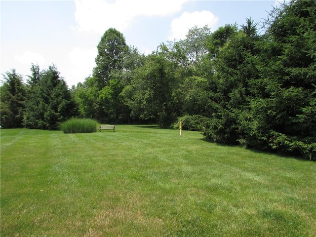 6921 Spring Valley Ln, Murrysville, PA 15632 - view of grassy yard