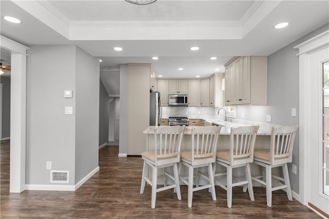 710 Duncan Ave, City Of Washington, PA 15301 - kitchen with stainless steel appliances, a raised ceiling, a peninsula, crown molding, and dark wood-type flooring