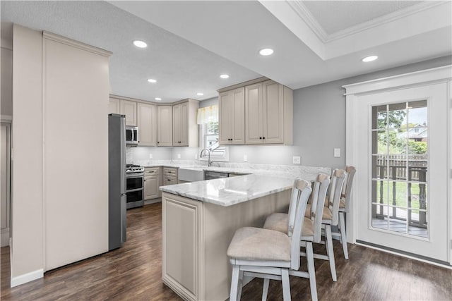 710 Duncan Ave, City Of Washington, PA 15301 - kitchen featuring appliances with stainless steel finishes, ornamental molding, a peninsula, recessed lighting, and dark wood-style flooring