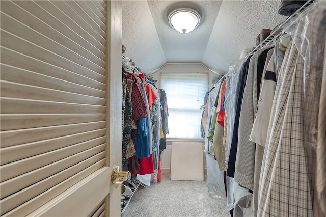 2023 Sterling Dr, South Fayette, PA 15057 - spacious closet with carpet flooring and lofted ceiling