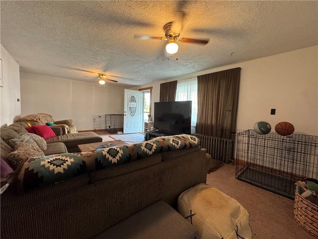 203 10th, St, PA 15963 - living area with a ceiling fan, carpet, and a textured ceiling