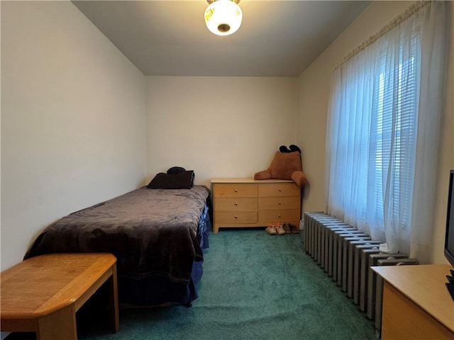 203 10th, St, PA 15963 - carpeted bedroom featuring multiple windows
