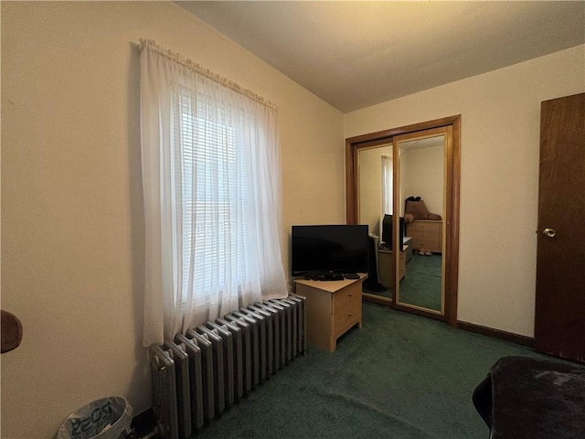 203 10th, St, PA 15963 - living room with radiator, carpet floors, and plenty of natural light
