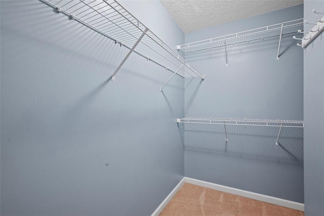 121 Bellefield Ct, Richland, PA 15044 - photo 22