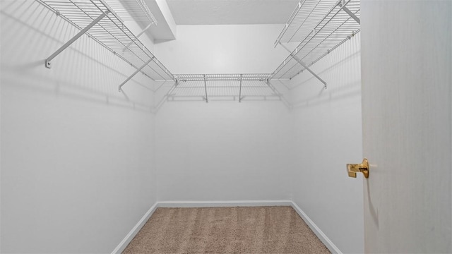 103 Cambridge Ct, Springdale Twp, PA 15049 - walk in closet featuring carpet