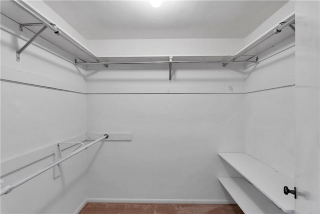 425 Ridge Rd, Hempfield Twp Wml, PA 15601 - walk in closet with carpet floors