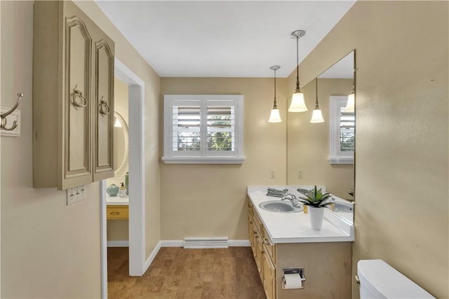425 Ridge Rd, Hempfield Twp Wml, PA 15601 - bathroom featuring vanity and plenty of natural light