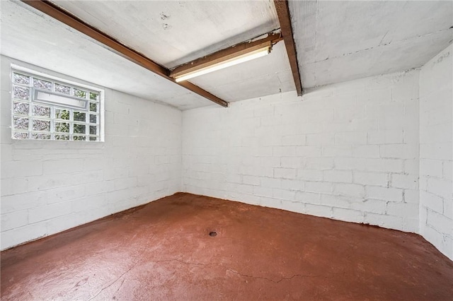 215-217 Fairlawn Dr, Monroeville, PA 15146 - below grade area with concrete block wall