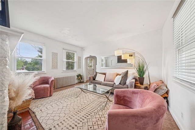 215-217 Fairlawn Dr, Monroeville, PA 15146 - living room featuring radiator heating unit and arched walkways