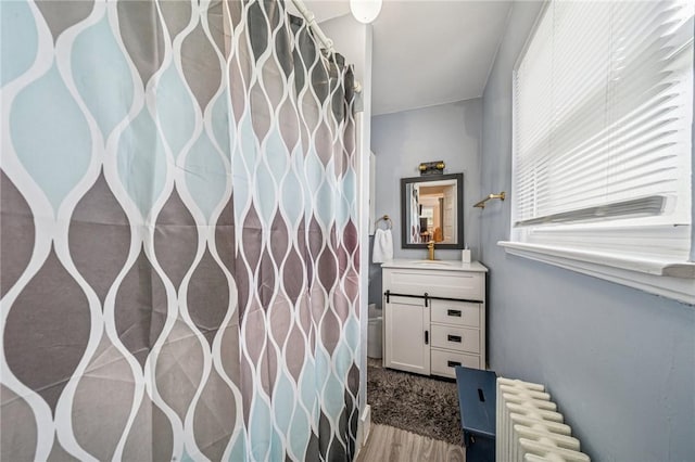 215-217 Fairlawn Dr, Monroeville, PA 15146 - bathroom with radiator heating unit, vanity, wood finished floors, and a shower with curtain