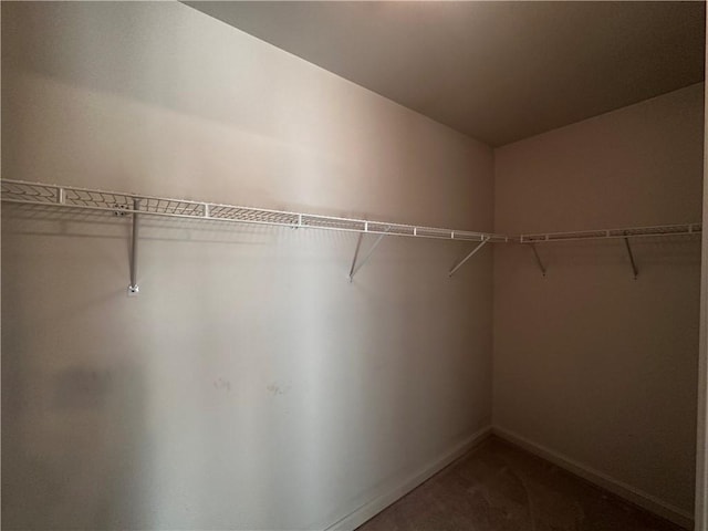 207 Village Ct, South Strabane, PA 15301 - spacious closet featuring carpet floors