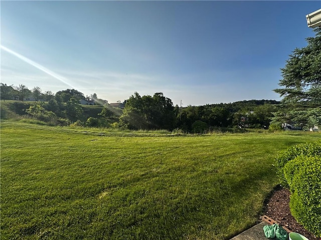 207 Village Ct, South Strabane, PA 15301 - view of green lawn