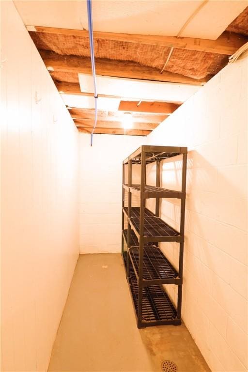 248 Laddie Dr, Canton Twp, PA 15301 - view of storage area